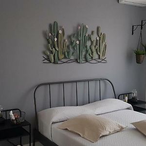 Little Rose Guest House